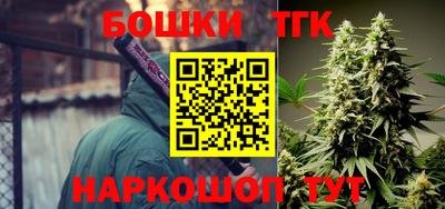 СК Лесосибирск