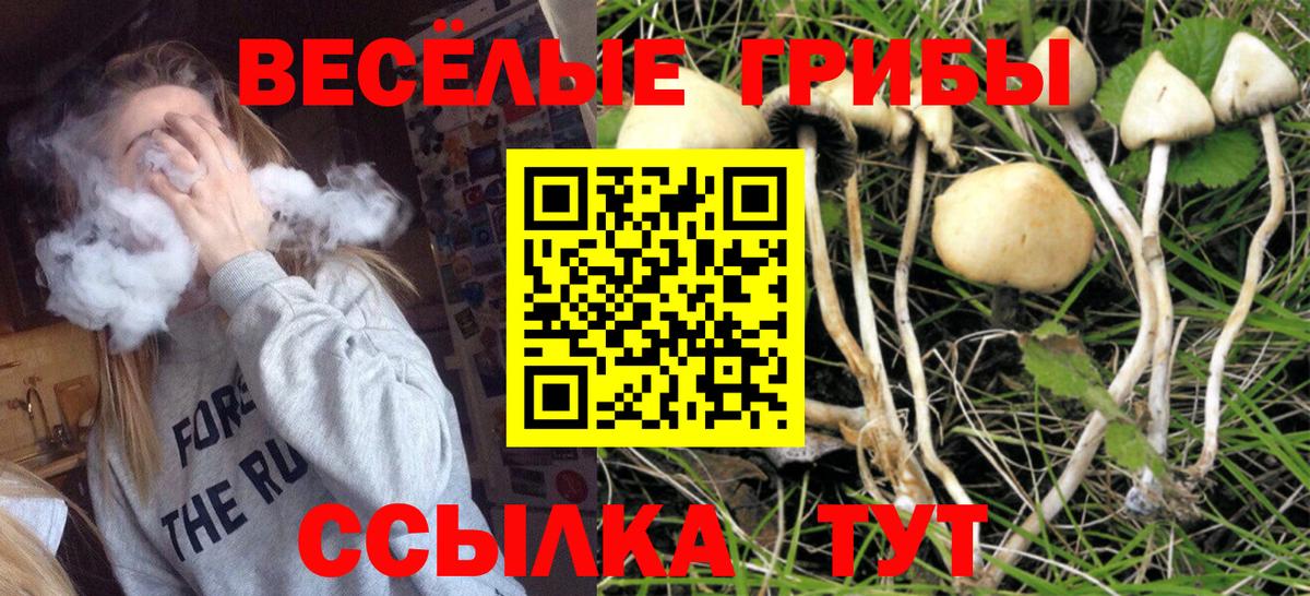 Галлюциногенные грибы ЛСД  Галлюциногенные грибы GOLDEN TEACHER  Вход с VPN  Десногорск 