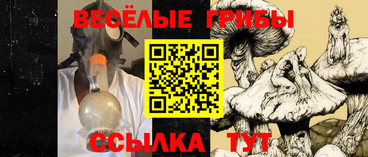 Псилоцибиновые грибы Cubensis Десногорск